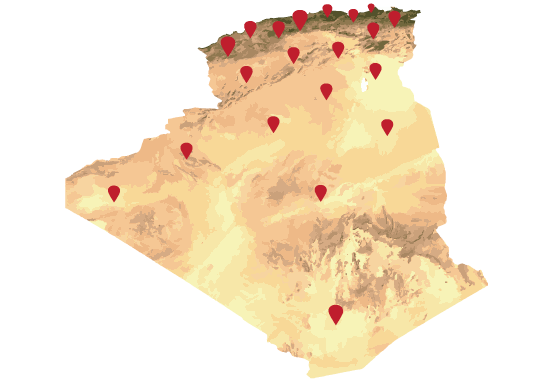 Odoo • Image et Texte